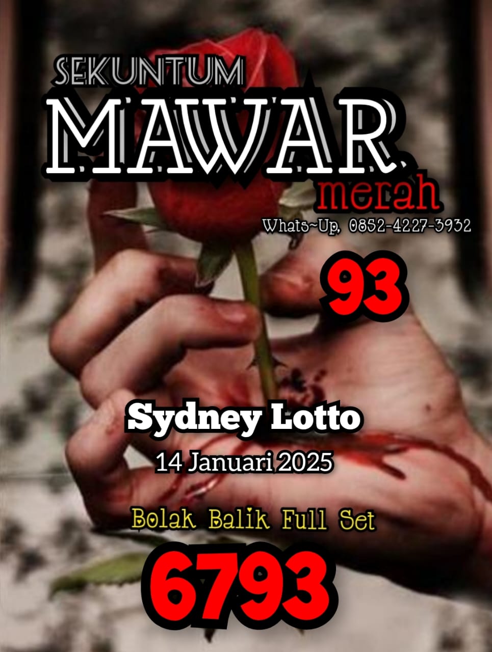 SYAIR SDY VIP